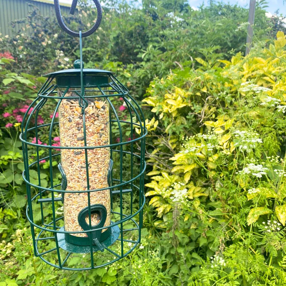 Squirrel Proof Seed Feeder and No Mess Seed Mix